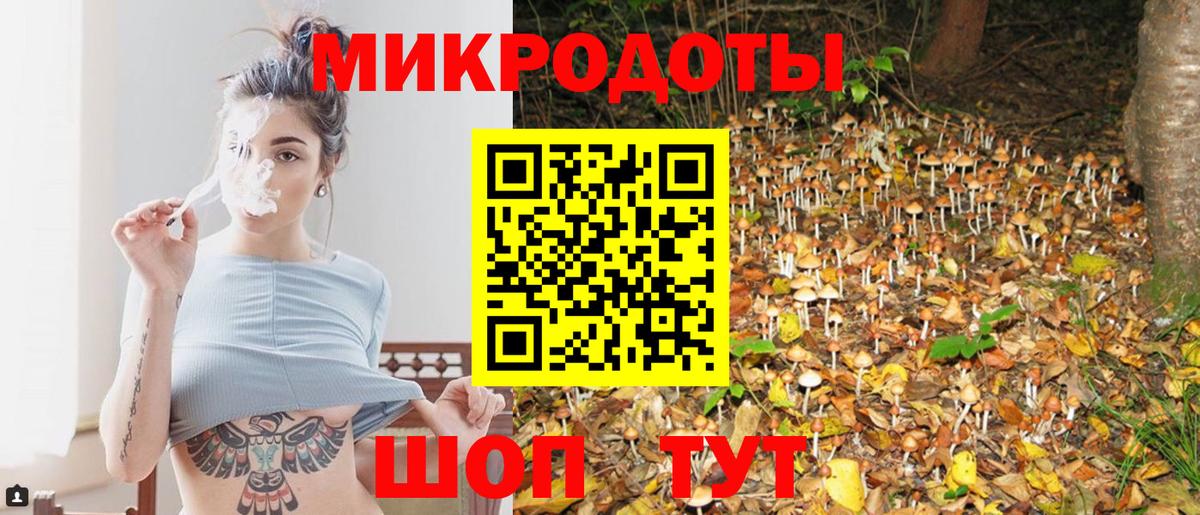 Галлюциногенные грибы Cubensis  Вход с VPN  Галлюциногенные грибы GOLDEN TEACHER  Астрахань 